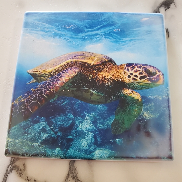 Sea Turtles 2 Pack Sandstone Coasters - Picture 2 of 8
